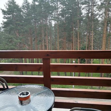 Apartman Nele ズラティボール エクステリア 写真