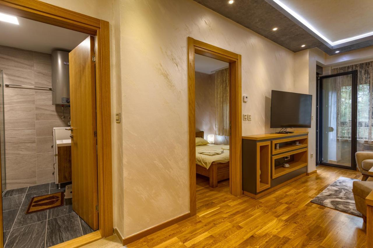 Apartman Nele ズラティボール エクステリア 写真