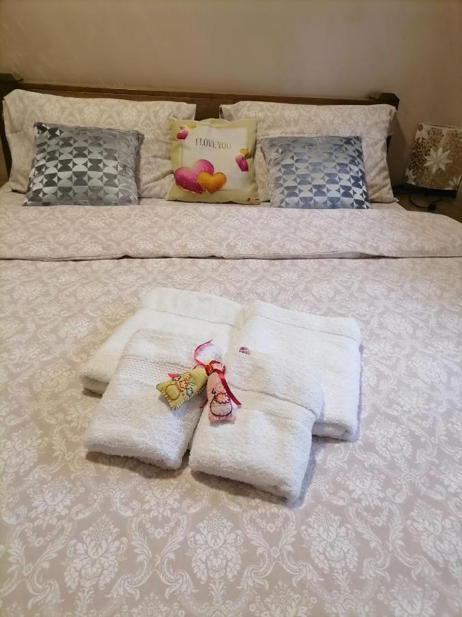 Apartman Nele ズラティボール エクステリア 写真